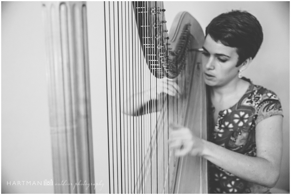 Wedding Ceremony Harpist 0256