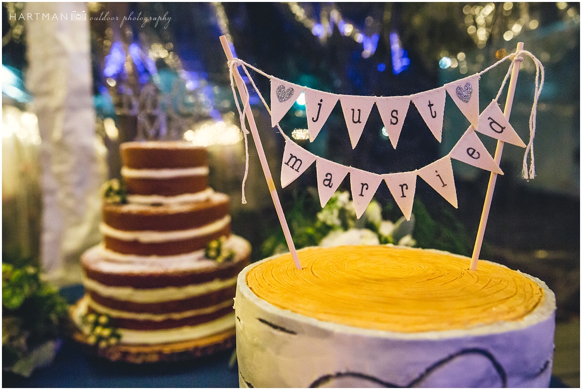 Just married cake banner
