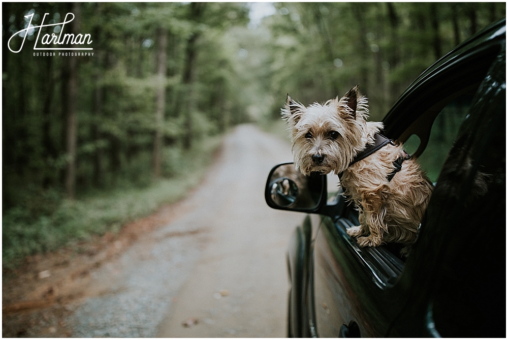 uwharrie elopement_0004