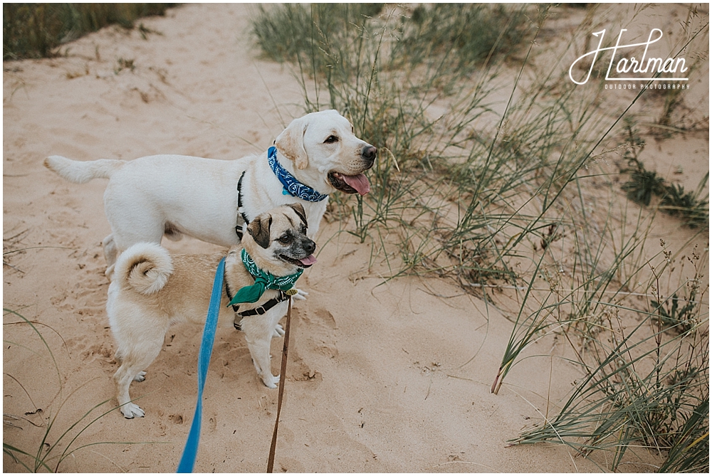 sleeping-bear-dunes-engagement-session_0013