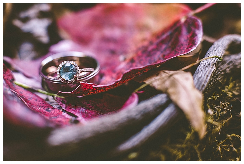 Raleigh Fall Engagement Ring