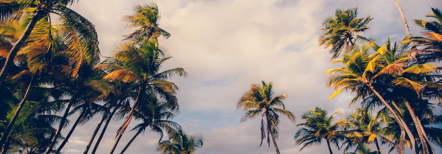 Cathy + Jonathan | Puerto Rico Wedding