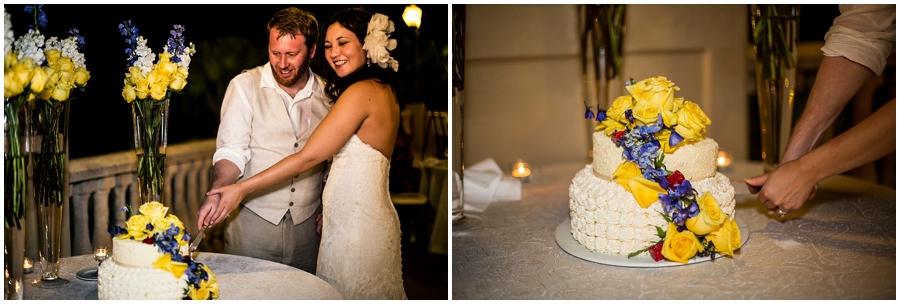 Cathy and Jonathons Cake Cutting 9529