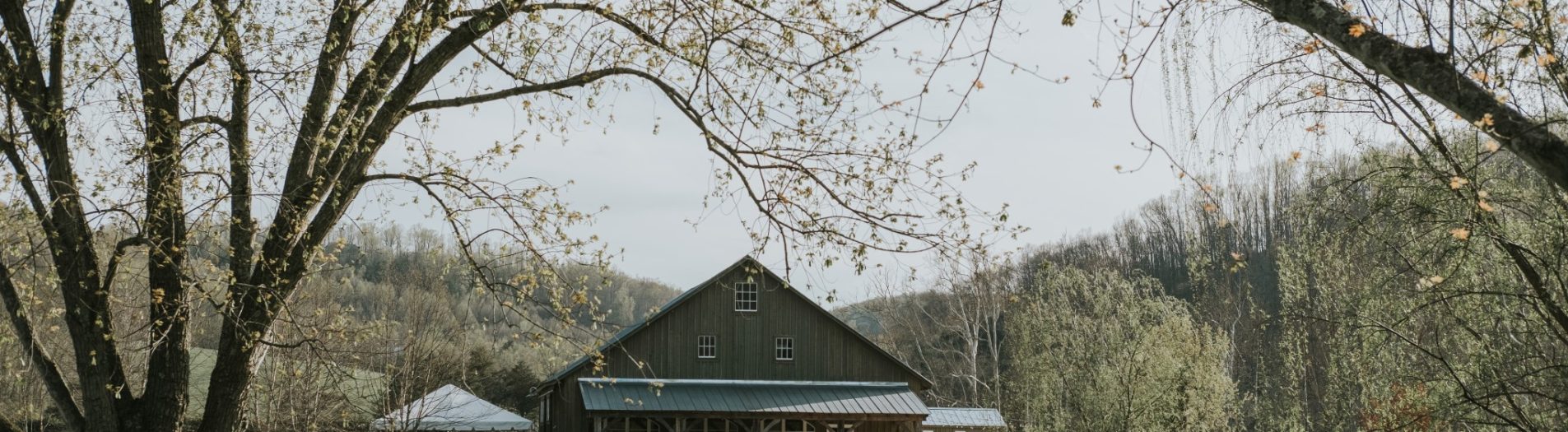 Charlottesville Wedding Photographers | Epic | Scenic | Ethereal | Documentary