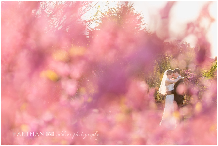 Allie and Matthew Wedding JC Raulston Arboretum