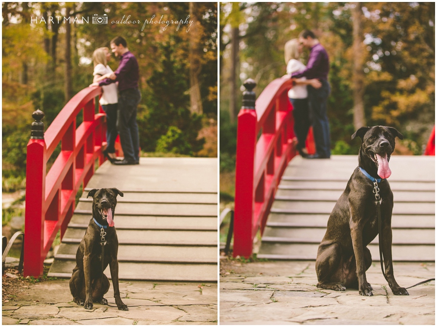 Engagement Portrait Session with a Dog