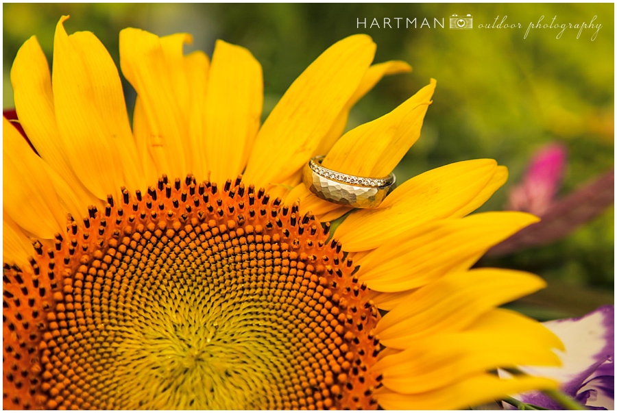 Engagement Ring Shots 