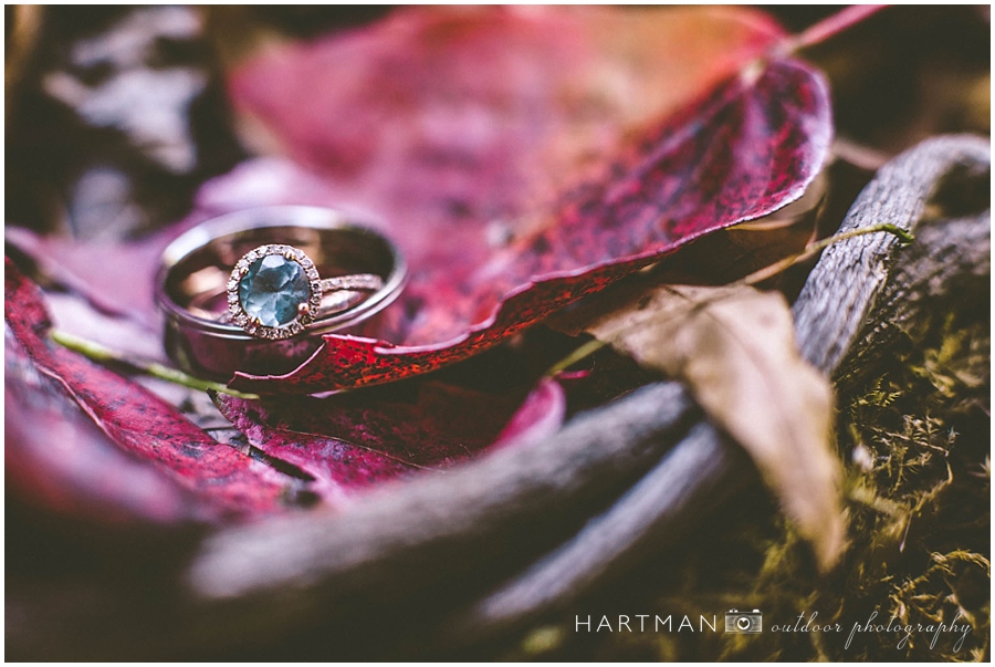 Engagement Ring Shots