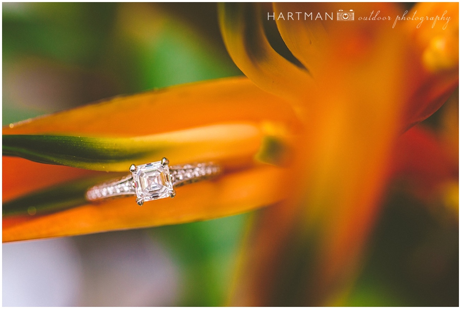 Engagement Ring Shots