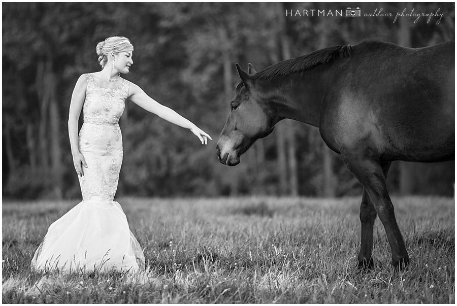 Grace Bridal Session Merry Hill Farm Horse