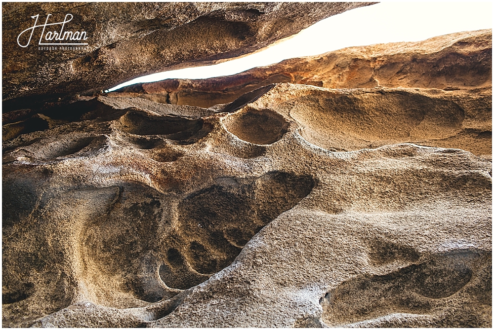 Rock Climber Wedding Joshua Tree