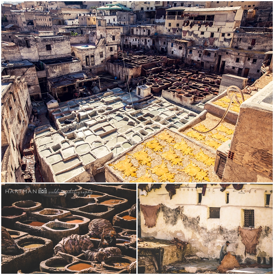 Morocco Travel Photos Tannery