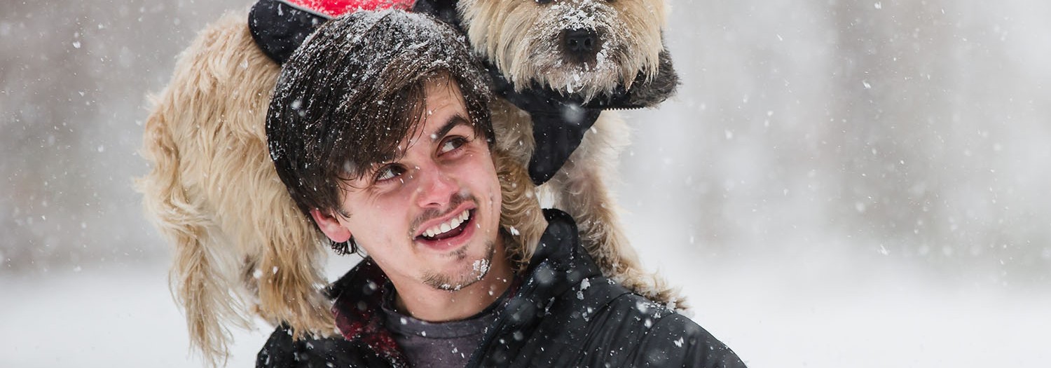 An Engagement Session with your Furry Friend