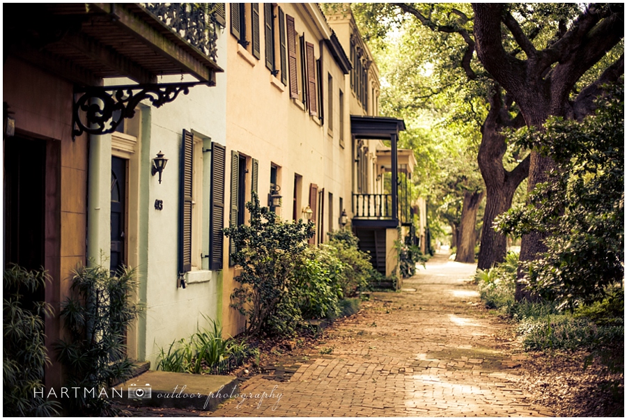 Travel Photography Savannah 2