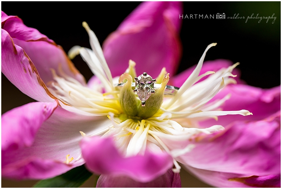 Asheville Raleigh Wedding Ring Photographer