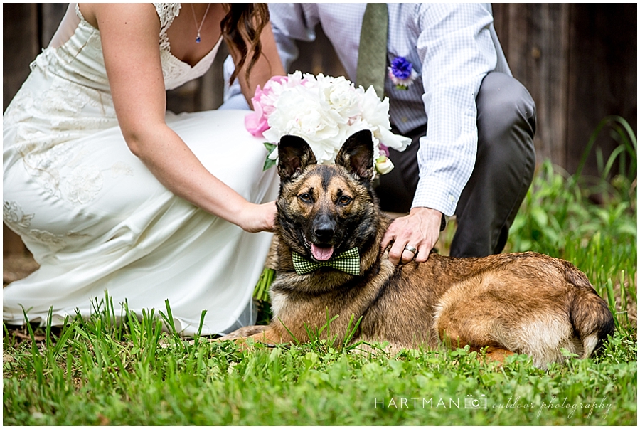 Bride and Groom with german shepherd dog