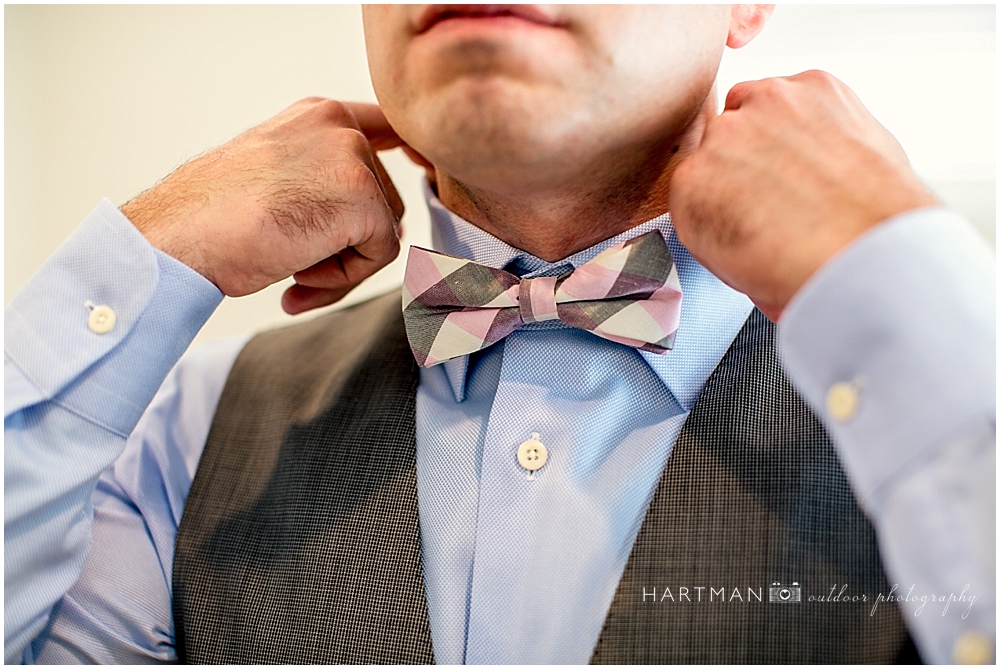 Pink Grey Bow Tie