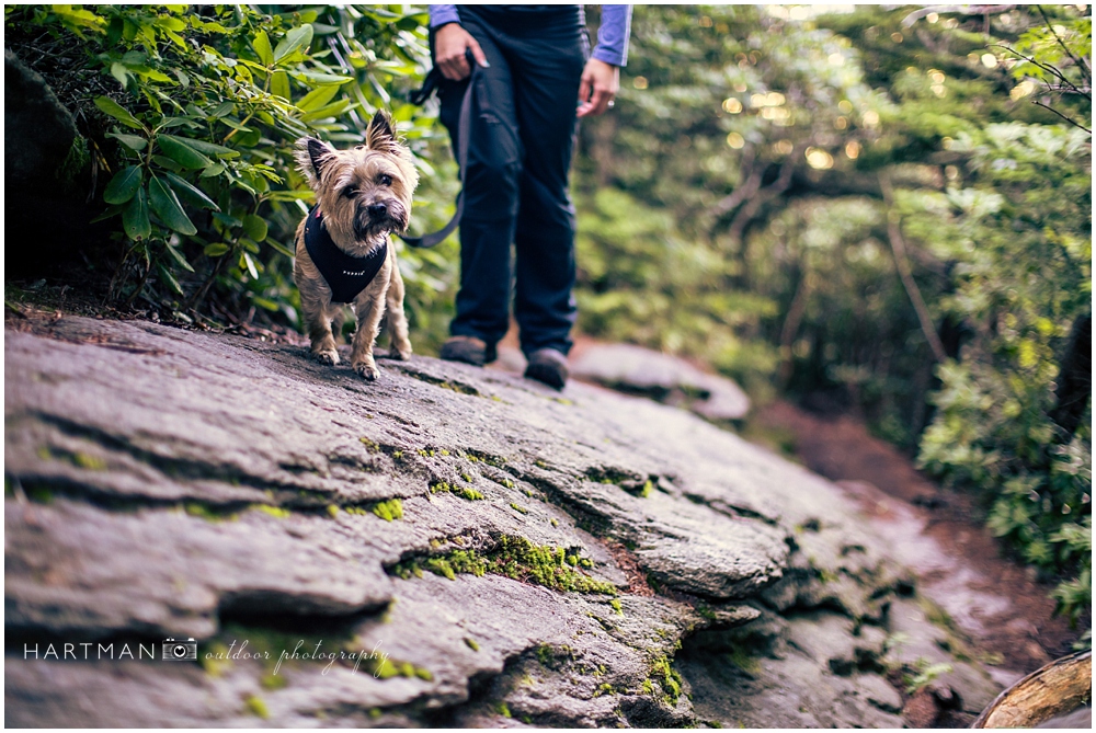 North Carolina Photographers