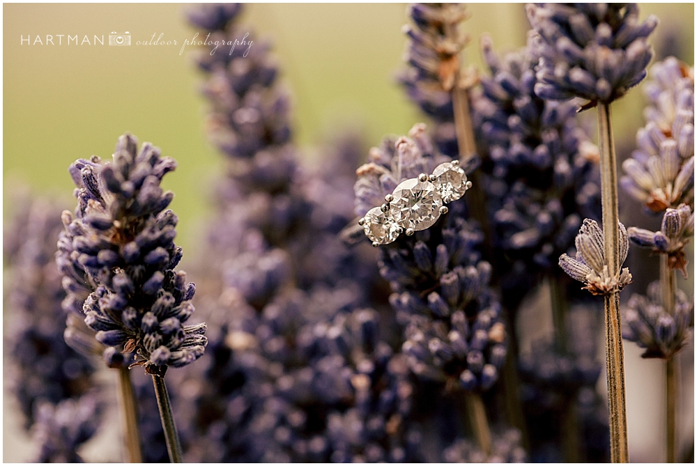 Little Herb House Wedding Ring Shot