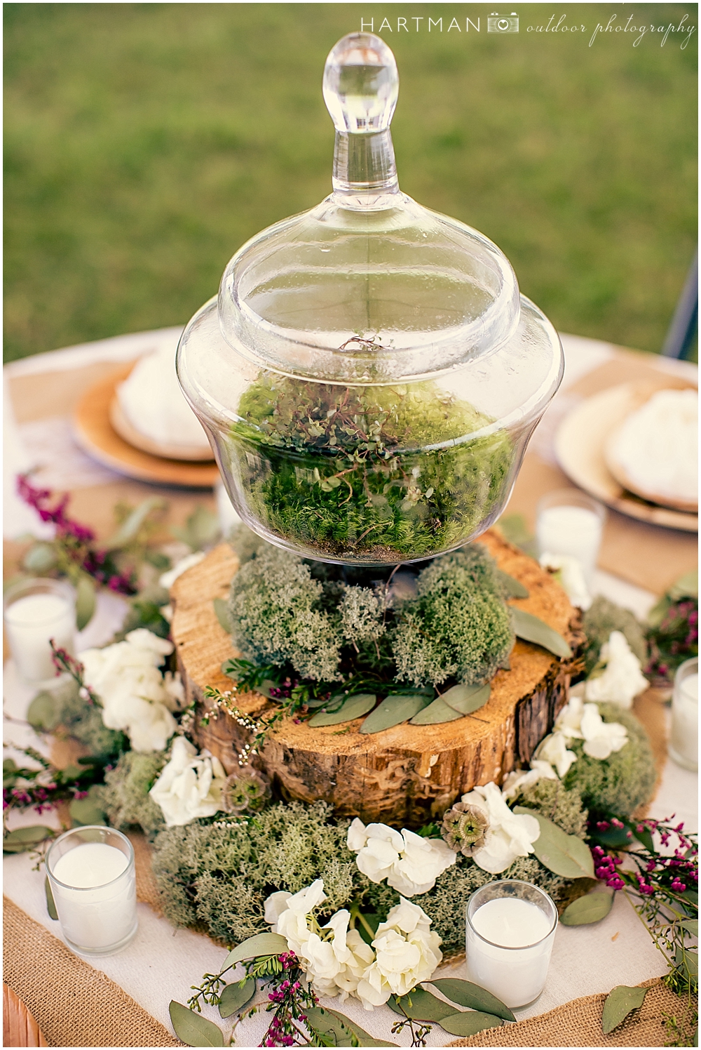 Raleigh Wedding Reception Terrarium Centerpeice