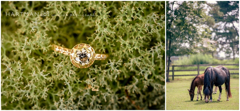 Raeford Horse Farm Wedding