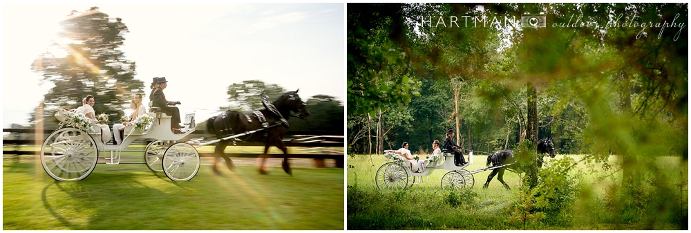 Bride Entering Ceremony on Horse and Carriage