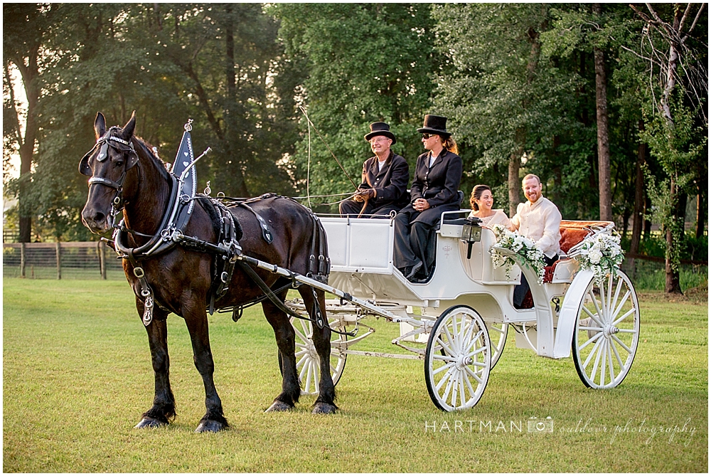 Bride and Groom on Horse Drawn Carriage