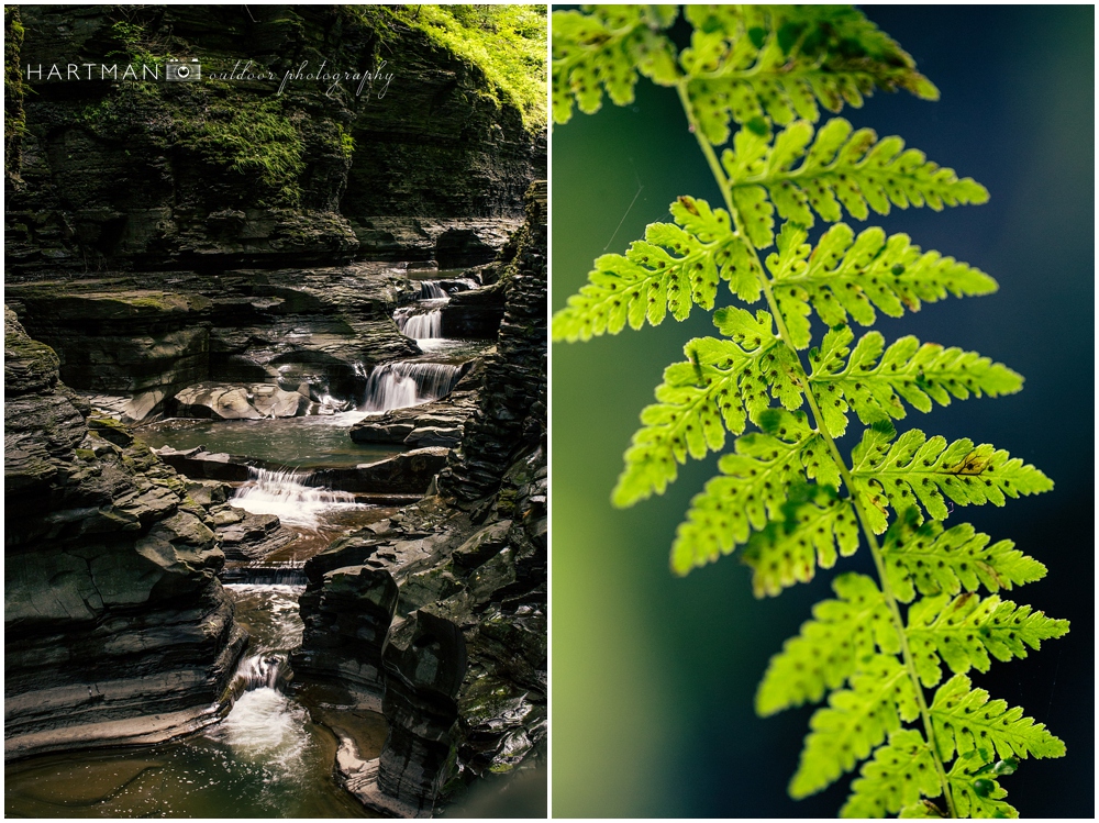 Watkins Glen New York