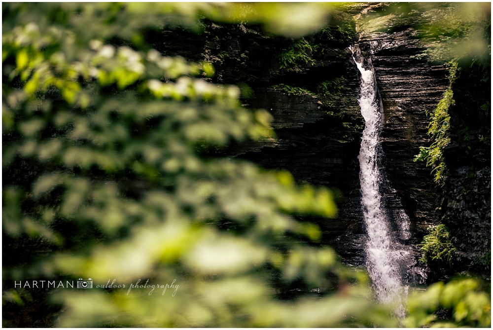 Watkins Glen Upstate New York