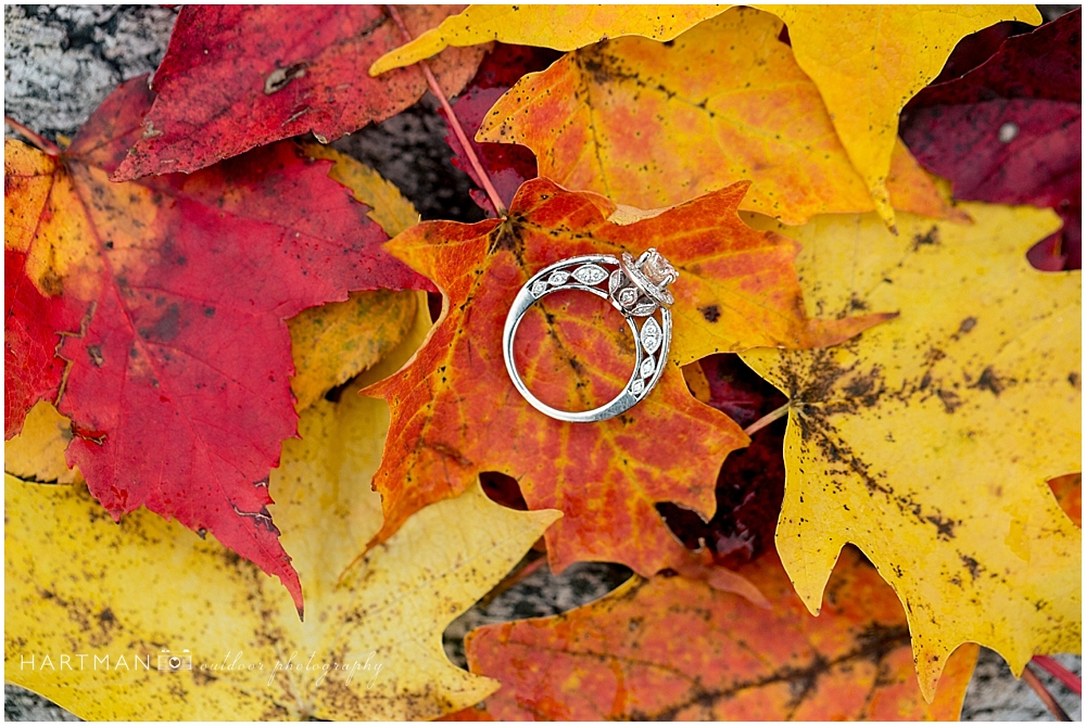 Fall Ring Shot Grayson Highlands Engagement 0014