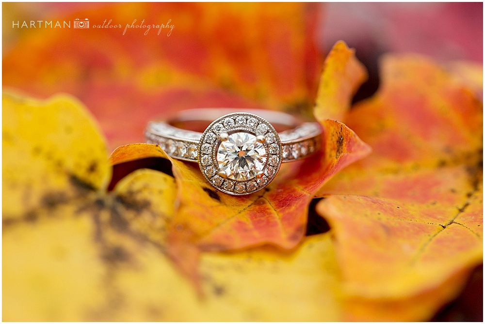 Fall Ring Shot Grayson Highlands Engagement 0014