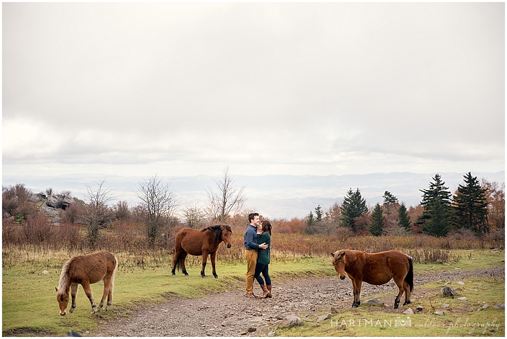 Grayson Highlands Engagement Horses