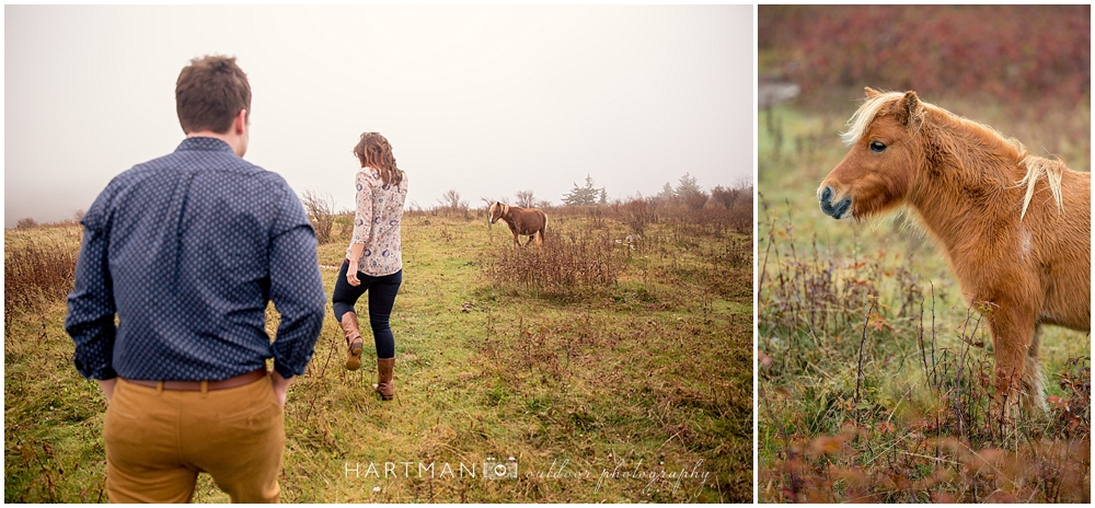 Grayson Highlands Engagement Session