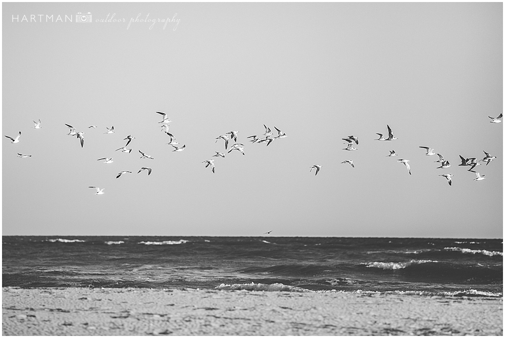 Holden Beach North Carolina Photographer 0091