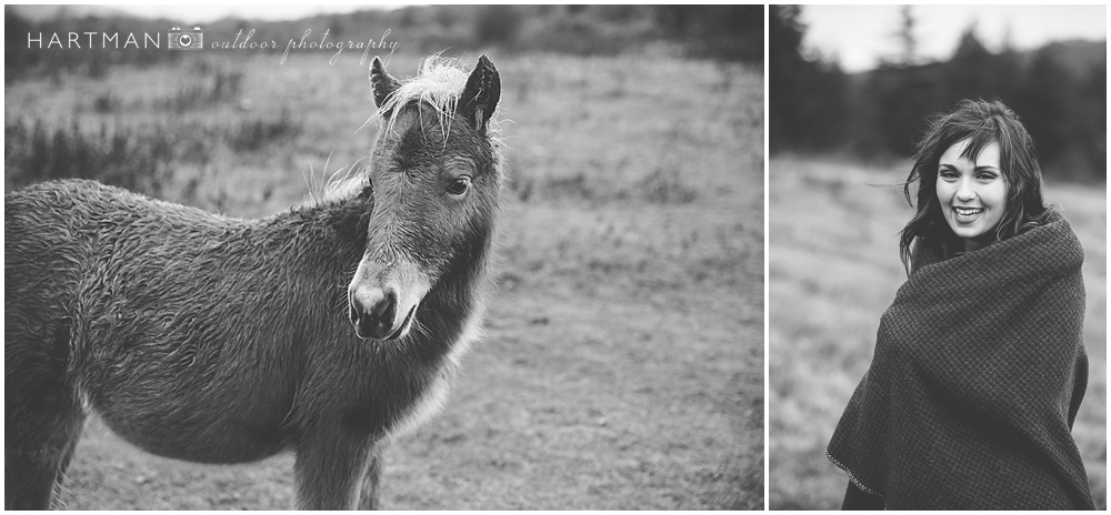 Ponies Engagement