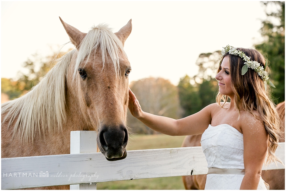 Raleigh bridal portraits horse
