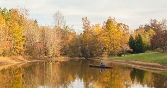 Rebecca + Christian | Adventurous Autumn Pittsboro Engagement Session