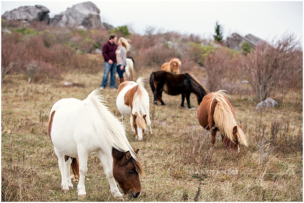 Grayson Highlands Engagement Session 0152