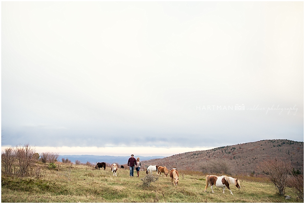 Virginia Wild Horses Engagement Photographer 0157