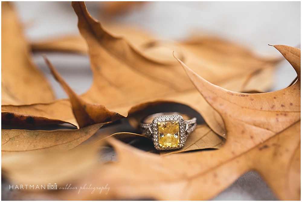 North Carolina Fall Engagement Session 00733