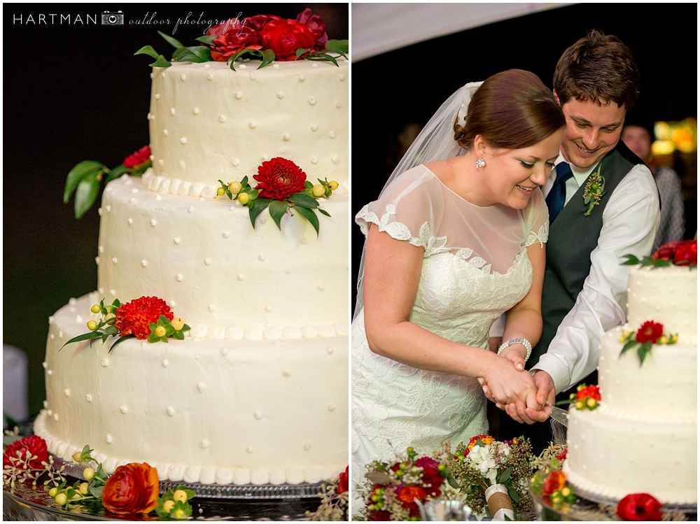 Red flower wedding cake 0344