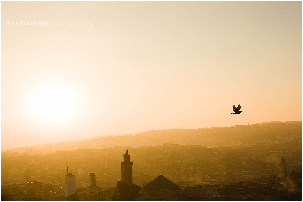 Fes Morocco Destination Wedding Photographer 00131