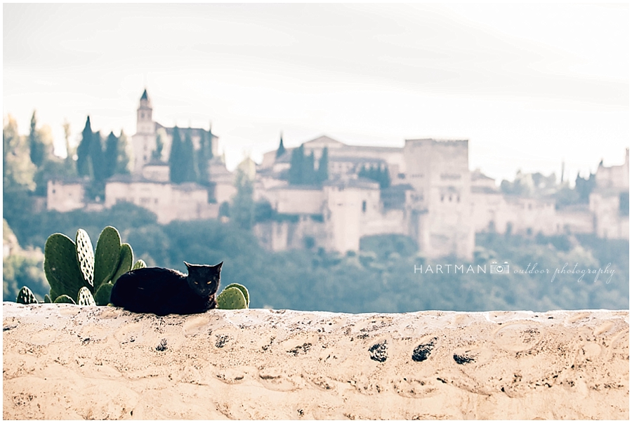 Granada Destination Wedding Photographer 00037