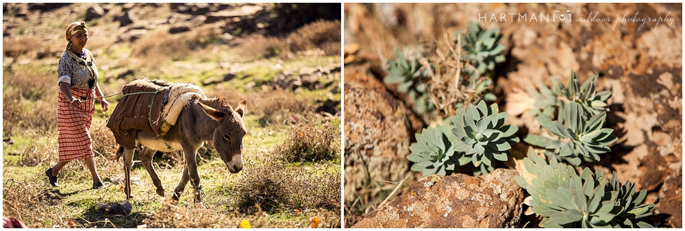 Fes morocco Wedding Photographer