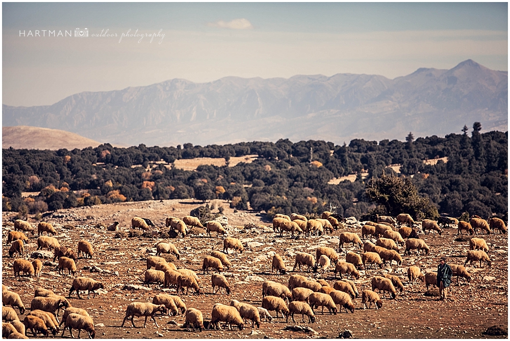 Fes morocco Wedding Photographer