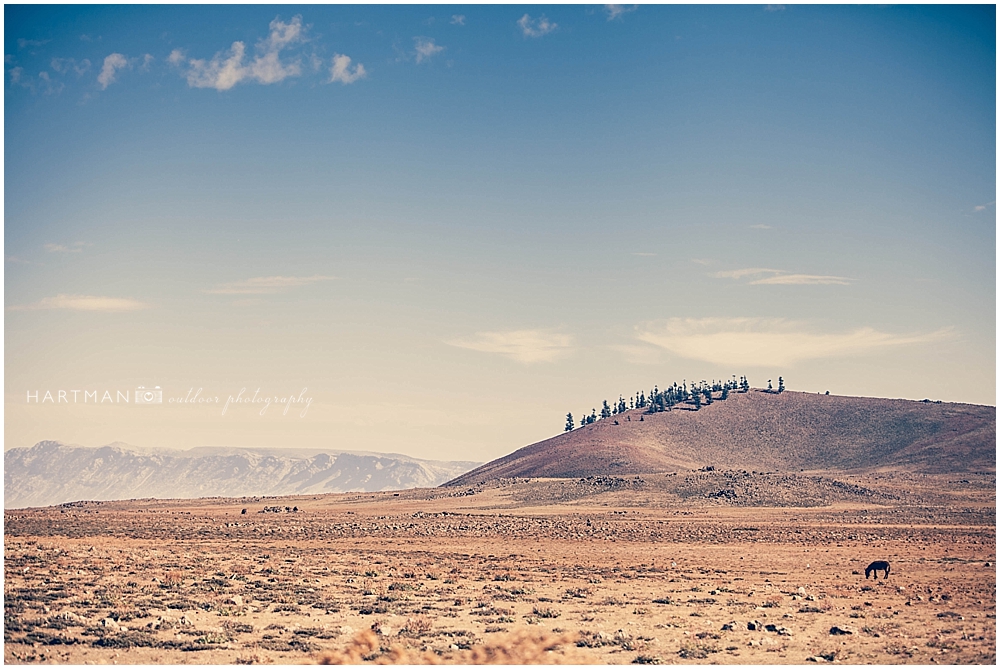 Fes morocco Wedding Photographer