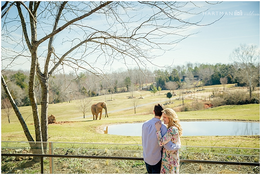 North Carolina  Zoo Wedding 00016