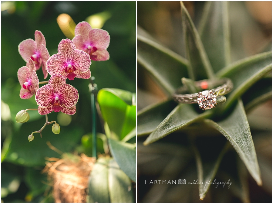 North Carolina  Zoo Wedding 00059