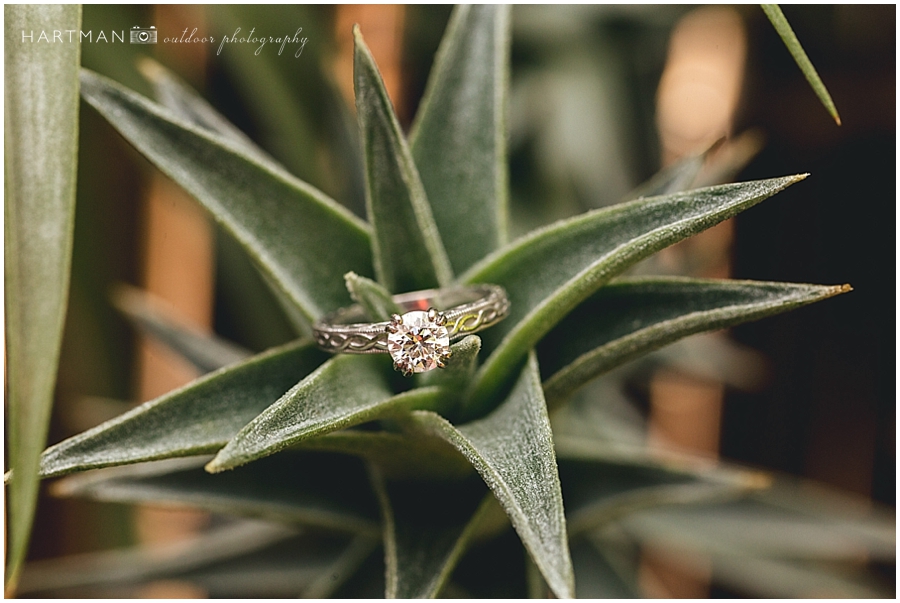 North Carolina Zoo Wedding 00060