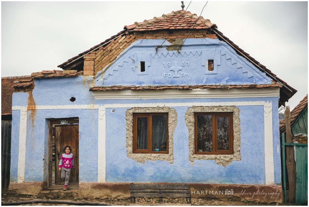 viscri blue house